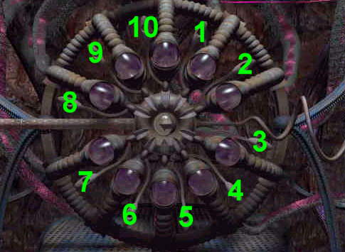 Numerierung am Gaskollektor